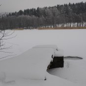 _dsc2268