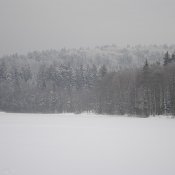 _dsc2269