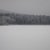 _dsc2275