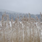 _dsc2280