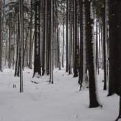 _dsc2282