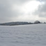 _dsc2283