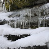_dsc2310