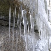 _dsc2312