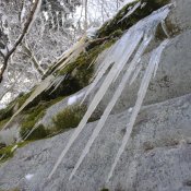 _dsc2314