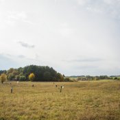 DSC_2235