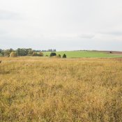 DSC_2240
