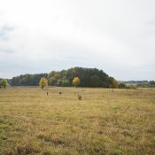 DSC_2250