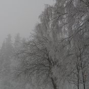 P1030658