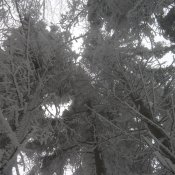 P1030807
