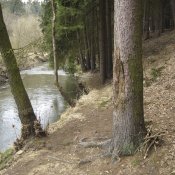 img_2948