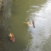 img_2965