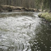 img_2967