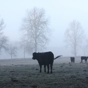 IMG_0763