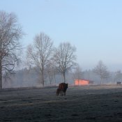 IMG_0778