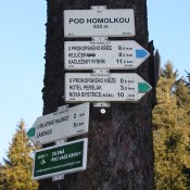 IMG_0782