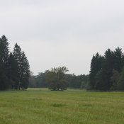 img_6387