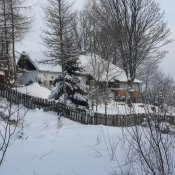img_6595