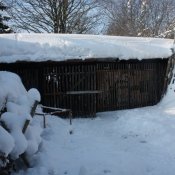img_6668