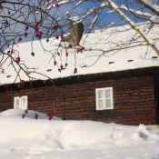 img_6693