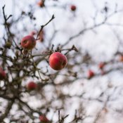 DSC_5964