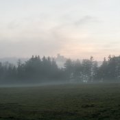 DSC_6067