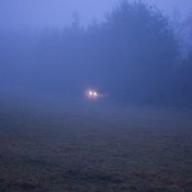 DSC_6088