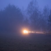 DSC_6089