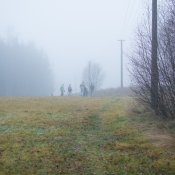 DSC_6148