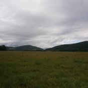 P9210472