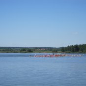 IMG_0455